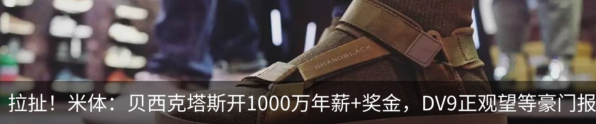 新闻动态
