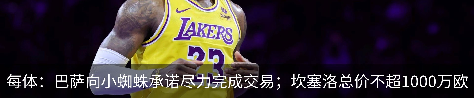 新闻动态