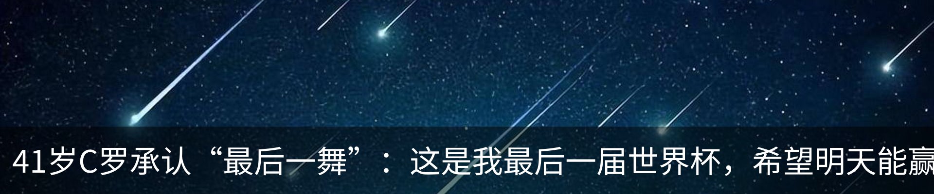 新闻动态